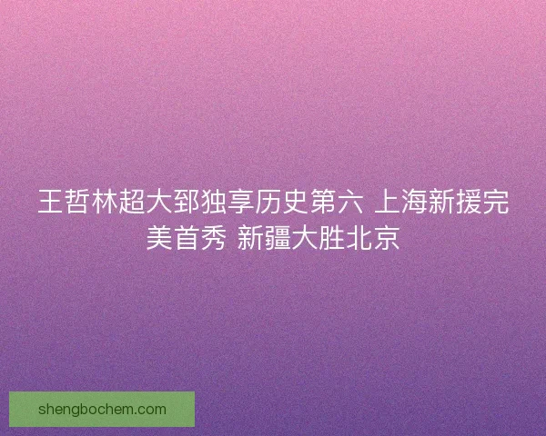 王哲林超大郅独享历史第六 上海新援完美首秀 新疆大胜北京