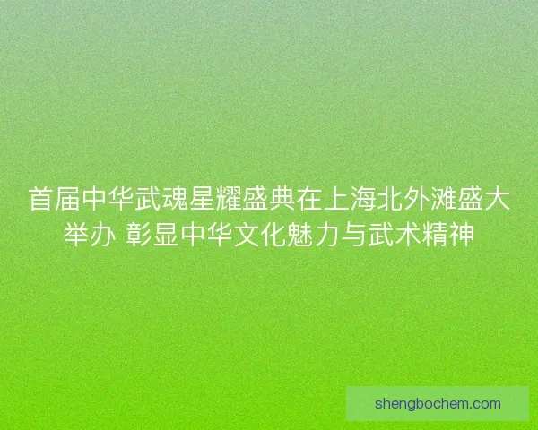 首届中华武魂星耀盛典在上海北外滩盛大举办 彰显中华文化魅力与武术精神 首届中华武魂星耀盛典在上海北外滩盛大举办 彰显中华文化魅力与武术精神