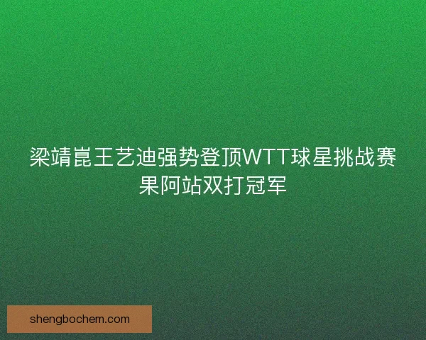 梁靖崑王艺迪强势登顶WTT球星挑战赛果阿站双打冠军
