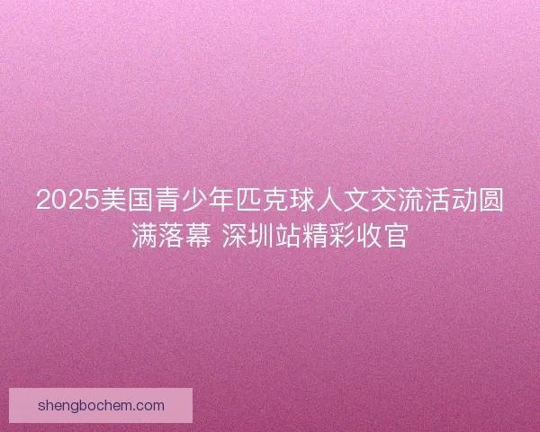 2025美国青少年匹克球人文交流活动圆满落幕 深圳站精彩收官