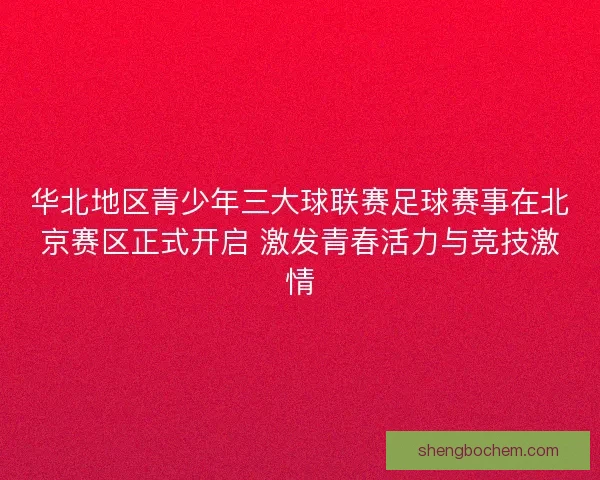 华北地区青少年三大球联赛足球赛事在北京赛区正式开启 激发青春活力与竞技激情