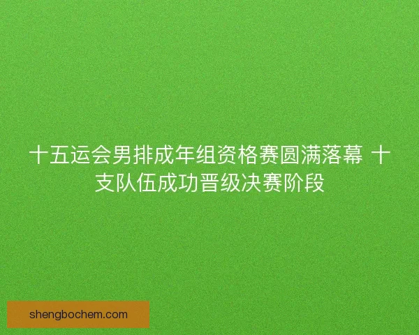 十五运会男排成年组资格赛圆满落幕 十支队伍成功晋级决赛阶段