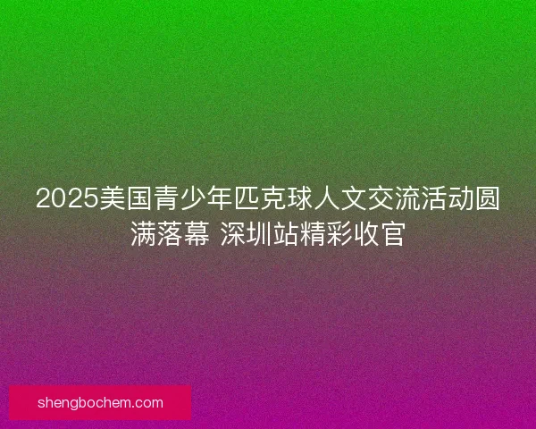 2025美国青少年匹克球人文交流活动圆满落幕 深圳站精彩收官